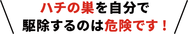 蜂の巣を自分で駆除するのは危険です
