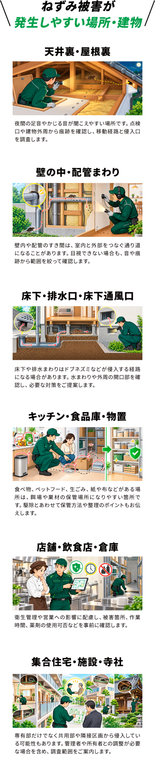 こんな場所 ねずみ