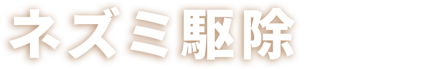 ねずみ駆除こちらから