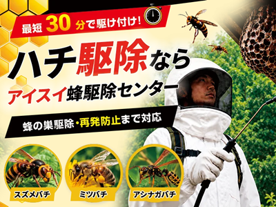 蜂駆除